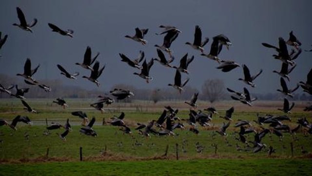 Les meilleures photos Facebook de juin