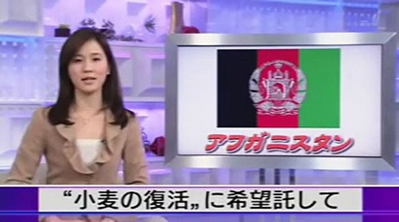 アフガニスタン "小麦の復活"に希望託して