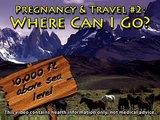 Traveling While Pregnant (Pregnancy Health Guru)