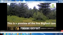 Bigfoot Live Cam At Mystery Planet - UFO and Ghost cams