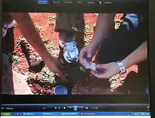 Jornal Local: trafico torre