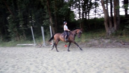 Cours de saut Olympic et Gwen 01/07/15