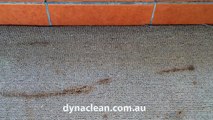Carpet Cleaning Gold Coast, Queensland, Australia