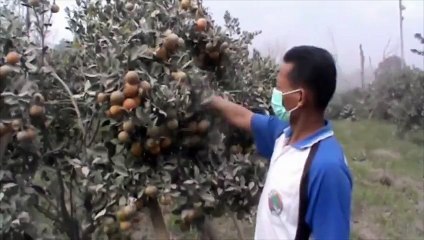 Indonésie : spectaculaire avalanche de cendres
