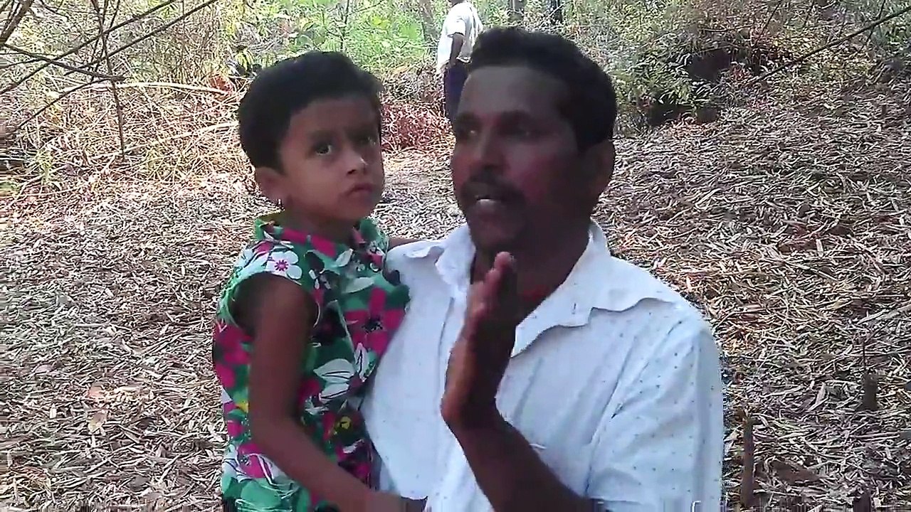 Advalpal-Vedanta-2013