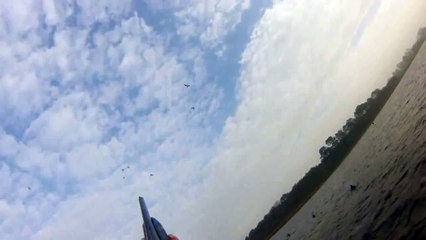 Pramjagt / Mallard hunting