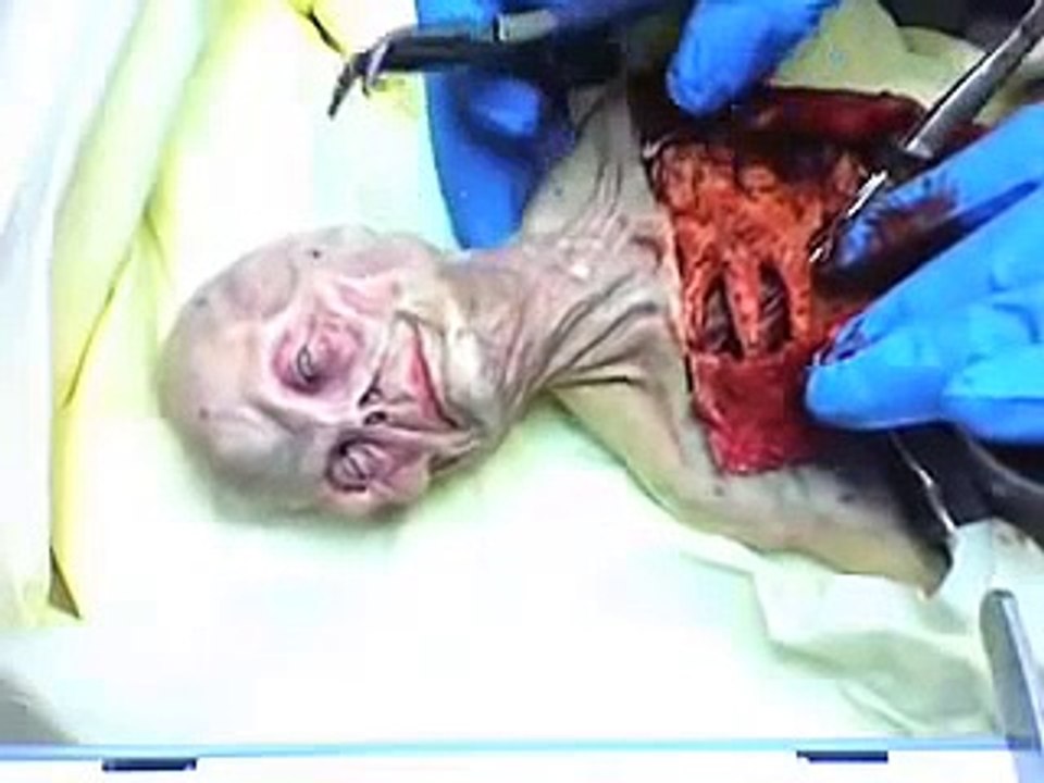 AUTOPSIA EN ALIEN VERDADERO - ZONA 51