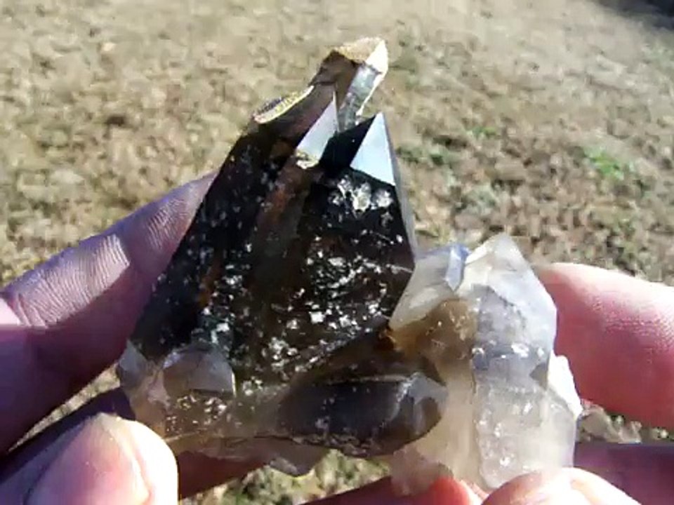 Hallelujah Junction Smokey Quartz Crystal Cluster
