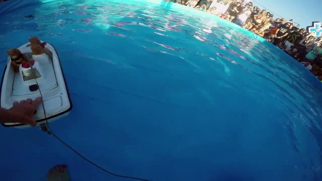 GoPro_ Twiggy the Waterskiing Squirrel