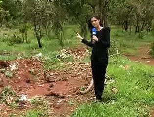 Jornal Local: especial MP