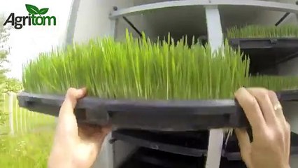 Agritom Taze Ot Yetiştirme Sistemleri