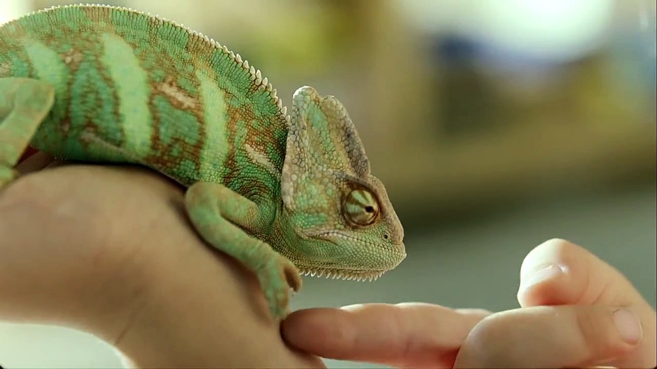 E.ON Best Deal For You New TV Advert -- Featuring 'Ho Hey' by The Lumineers