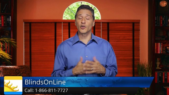 BlindsOnLine.com Terrific 5 Star Review by David S.