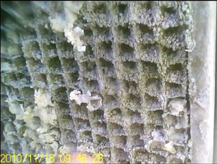 Another Cooling Tower Drain and Clean - Nov 19th, 2010