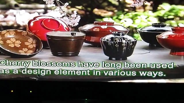 日本文化紹介　桜 Japanese culture introduction cherry blossom (sakura)