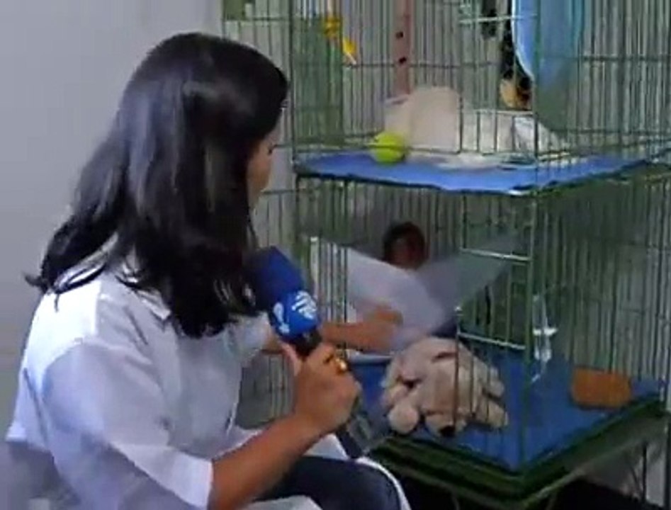 VT ZOOLOGICO