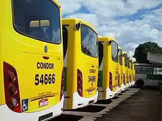 Jl: licitacao onibus planaltina