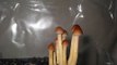 Psilocybe cubensis  shrooms mushrooms  
