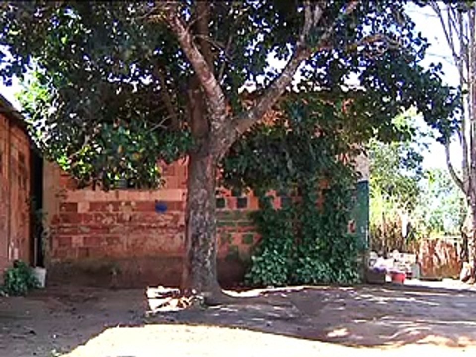 Jornal Local: Abandono Lar