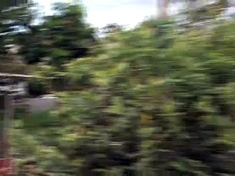 Jornal local: baderna vicente pires