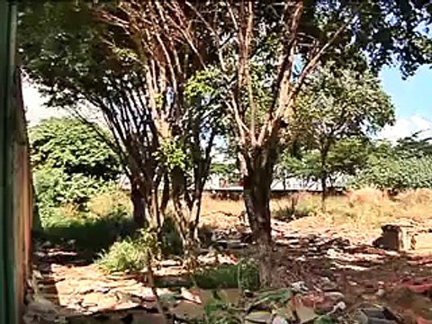 Jornal Local: Prisão Tarado Ceilândia