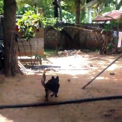 Mobile Capture 03-Jul-2015