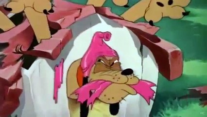 Pluto "Pluto Júnior"