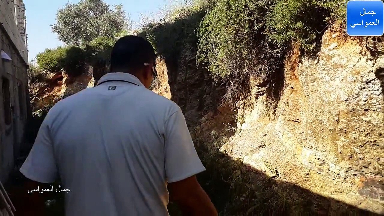 الكلب مات احتمال من الافعى او ضربة شمس 29--4--2015 مع جمال العمواسي