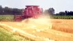 Case IH 2366 combines winter wheat in Illinois.