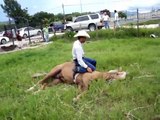 Adiestramiento y doma para caballos en Guatemala (sin violencia) Rudy de Leon: Tel: 502 4594-5626