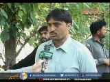 DISTRICT DIARIES MALAKAND AGENCY | EP # 18 ( 1st July, 2015 )