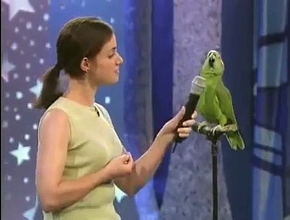 Unbelievable Singing Parrot