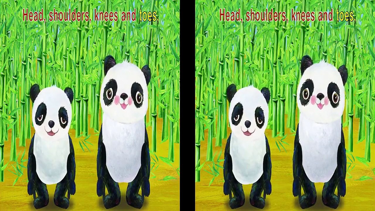 Head Shoulders Knees and Toes Children Songs