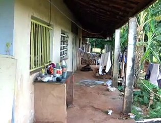 Jornal Local: fazenda sobradinho