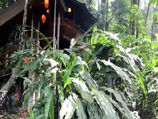 Un hotel en medio del bosque que no necesitó cortar árboles para su construcción