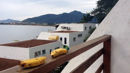 Vídeos by iPhone 4, cotidiano de uma caminhada, julho, 2015, Taubaté, SP, Brasil, (197)