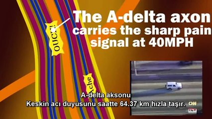 Cehennem diye birşeyin olması mümkün mü ?