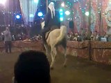 رقص خيل المعلم كرم سرحان من محمد نصير 00966540949628