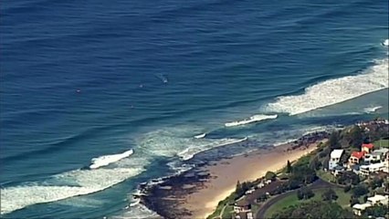 Surfer attacked by shark