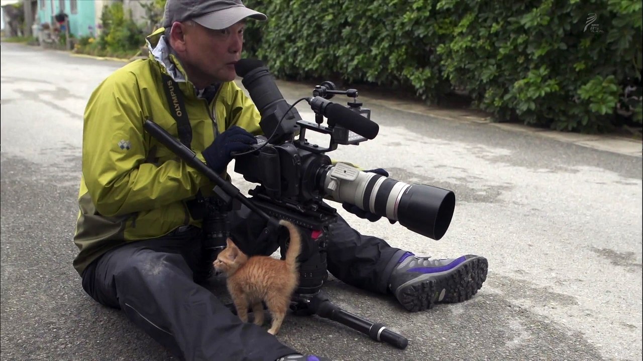 Tiny Kitten Quickly Befriends a Famous Wildlife Photographer