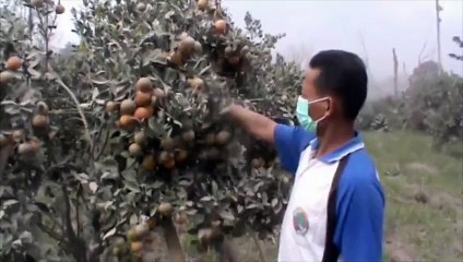 Indonésie : spectaculaire avalanche de cendres