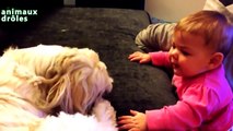 Bébés drôle Parler aux chiens Compilation 2014 [NEW HD]