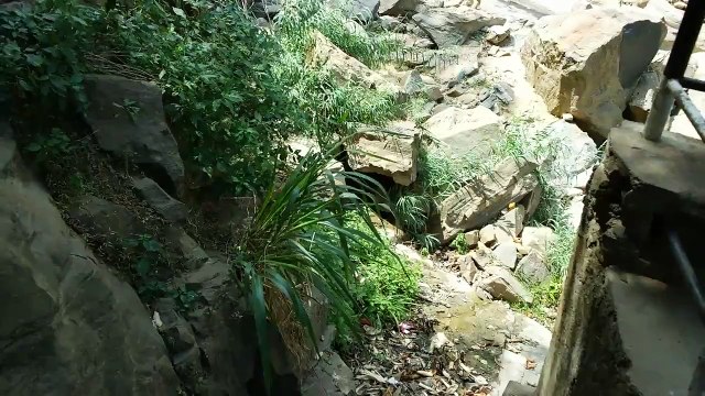 Sri Lanka Dunhinda Falls Badulla und Rawana Falls Ella beautiful Waterfalls Wildlife Nature