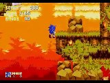 Sonic 3 and Knuckles Glitches and Oversights - Basic Techniques
