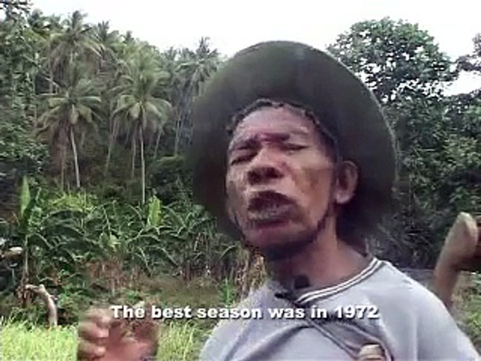 Testimonials from people of Tanimbar