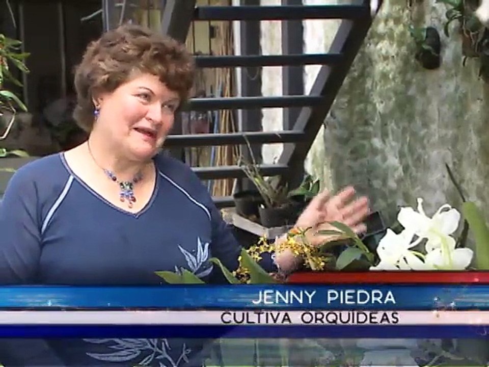 Una pareja encontró el amor gracias a las orquídeas