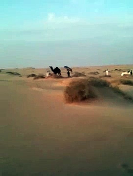 مضاربة بعارين