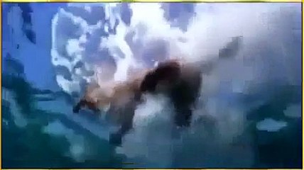 Kekuasaan Allah: Video Mengharukan Yang Membuat Kita Menangis