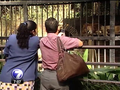 MINAE no apelará medidas cautelares de fundación que administra el Simón Bolívar