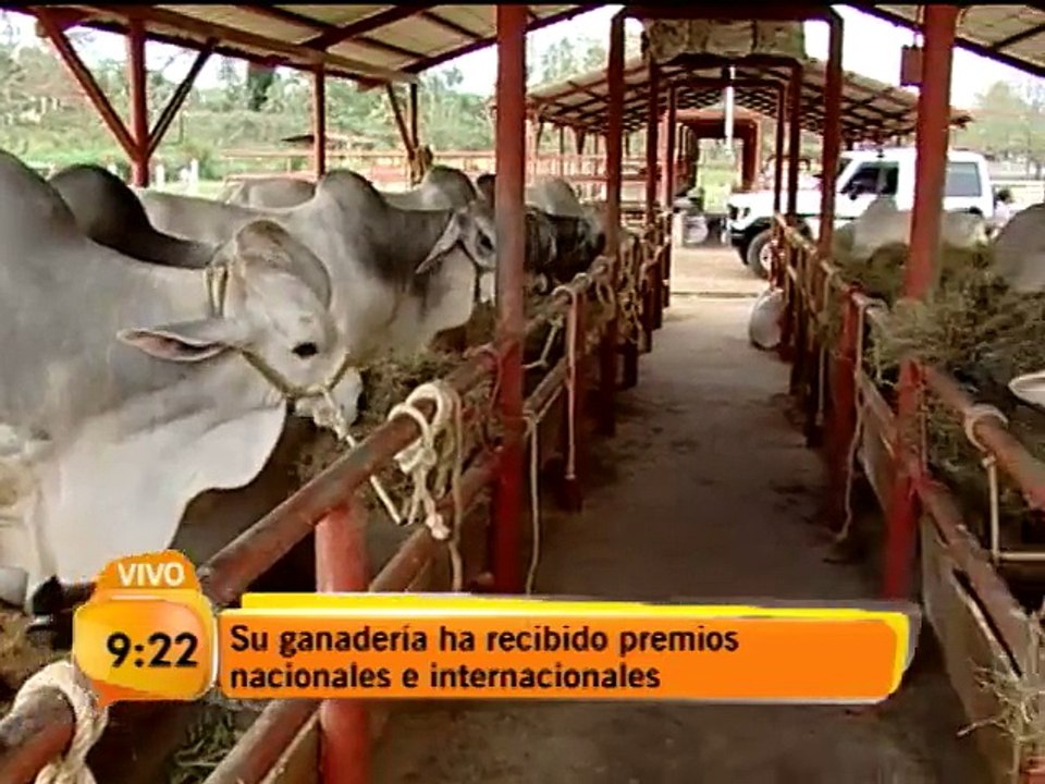 Una familia vive en medio de una verdadera pasión: la ganadería